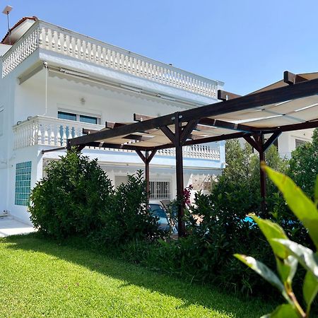 Villa Vave Nea Iraklia Zewnętrze zdjęcie